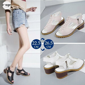 T_ fB[X NbV Xgbv T_ fB[X  T_ EFbW\[ C ₷  q[ r nCq[