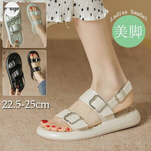 T_ V[Y ItBXT_ fB[X  ubN r[`T_ AEghA T_ ɂ Vv Ȃ r ₷