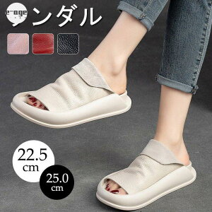 T_  fB[X Xj[J[ Xbp r X|[cT_ Vv JWA l T}[V[Y  r[`T_