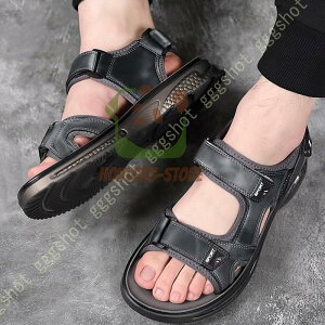 AEghAT_ X|[cT_ Y T_ jp ϏՌ ~ y Ȃ T_ X|[c