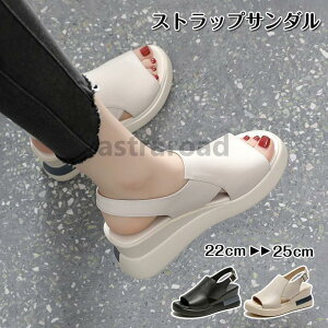 T_ fB[X X|[cT_ EFbW\[ X|T  Xj[J[T_ T}[ ʋC ₷  JWA V[Y