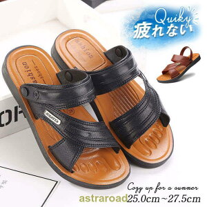 T_ Y X|[cT_ 2way JWA ʋC  y Ȃ C Xb| AEghA ɂȂ  