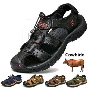 gbLOV[Y T_ AEghAV[Y X|[c oRC Y EH[LO Ȃ ₷ K amp  tbg RtH[g