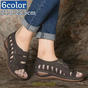 XgbvT_ fB[X  wl T_ tbg\[ [q[ }WbNe[v n Vv 킹₷    