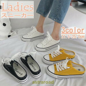 Xj[J[ ~[Xj[J[ fB[X C T_  [Jbg ƂȂ  [XAbv LoXn 