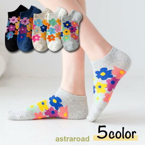 C V[g\bNX fB[X  Ԃ Xj[J[ ԕ t[ CXg Jt  JWA |bv 킢 l 