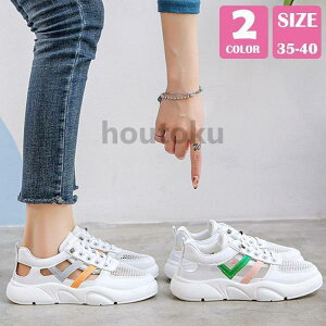 fB[X C X|[cT_ T_ Xj[J[ ɂȂ ₷ ₷ r AEghA JWA r 킢 