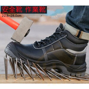 ƌC SC [Jbg nCJbg Ȃ Y fB[X ZteB[V[Y c ʋCQ h h ϖ jp