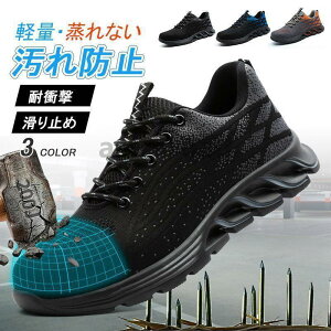 SC [Nu[c ƌC Ȃ Y fB[X  ZteB[V[Y SXj[J[ c ܐK[h y ʋC h