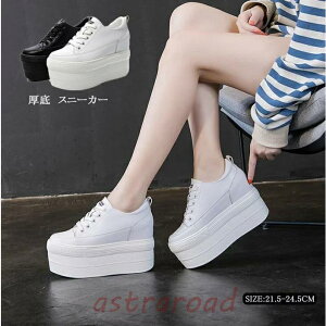  Xj[J[ Xj[J[ V[Y Cq[ Xj[J[ fB[X   @Xj[J[@҂ݏグ@[XAbv fB[X Xj[J[ ȂC