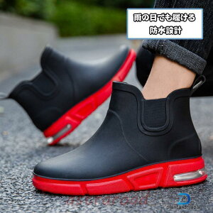 Cu[c CV[Y Y Xj[J[ h h C ~J J΍  RȂ NbV rWlX AEghA ނ  ʋ ʊw