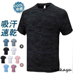 Vc Y  tVc fB[X z jO ^ X TVc g[jO X|[cEFA [EFA ^ 