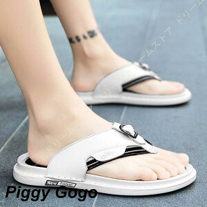 T_ Y YT_ tbgT_ ][g V[Y R[f ~ gO Xb| ItBX T_ C IV ҂ݍ C 