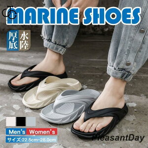 r[`T_ r[T Y  T_ ̓ gOT_ ؂  _炩 tbgT_ r[` C JWA AEghA 