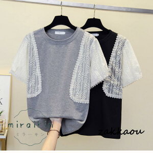 TVc fB[X t gbvX Jbg\[ [X [XC[hTVc 傫TCY ۂ N[lbN ܂킵  ㎿