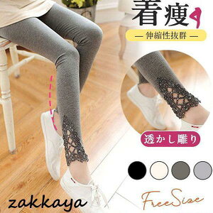 MX fB[X XLj[ {gX JWA  t  LkQ K [EFA  X|[c 