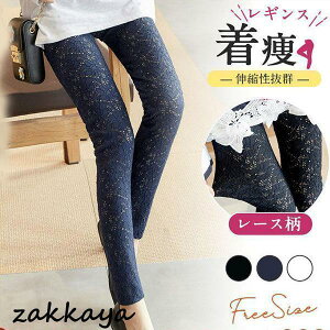 MX fB[X XLj[ {gX [X JWA t  LkQ K [EFA  X|[c 