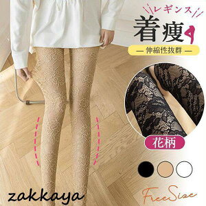 MX fB[X XLj[ {gX 㕪 ԕ JWA t  LkQ K [EFA  X|[c 