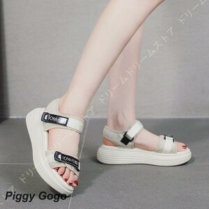 Xj[J[ EH[LOV[Y T_ Xb| ƂȂ Cq[ fB[X S \bNXXj[J[ fB[X Xj[J[ 