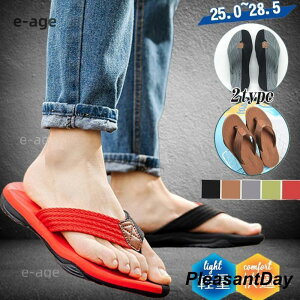 r[`T_ Y T_ V[ 炩 ~ 傫TCY jp fB[X y  C  T}[ t@V