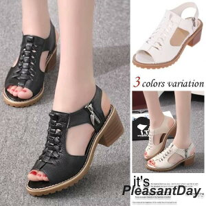 T_ fB[X r[`T_/tbgT_ {w~A  [q[T_  ԕt fB[XgOT_ r ₷