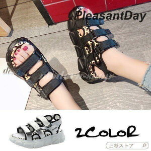 T_CX|[c^qET_fB[XXj[J[X|Tyʉ^EFbWq[6cm