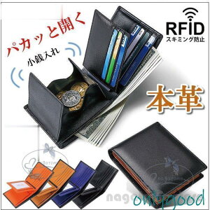 z Y ܂ {v e  V  tz Mtg  TCt v[g