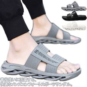 T_ Y Xbp RtH[g X|[cT_ T_ Xj[J[T_ XbpT_ r[`T_ ₷  y