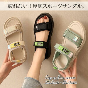  T_ fB[X X|[cT_ Xj[J[T_ 킢 r[`T_ TCY 傫TCY AEghA ɂȂ