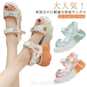 T_ h T_ ₷ Xj[J[ RtH[gT_ vbgtH[  Xj[J[T_ X|[cT_ X|