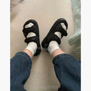 T_ X|[cT_  T_ fB[X C Xj[J[\[ 3cm q[ y ₷  JWA ꂢ 