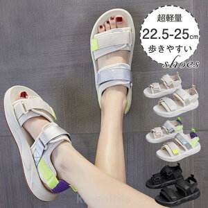 T_ fB[X X|[cT_  V[Y }WbNe[v r[`T_ ؂ ɂȂ Ȃ y ₷ r 