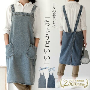 Gv ۈm  Ԃ邾 fj obNNX 傫TCY jp K[f JtF 100