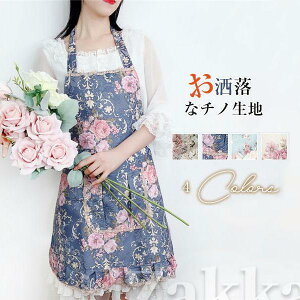 Gv w ۈm fB[X ԕ ԉ oCg n  [X  JtF Xg [NGv  v[g Mtg