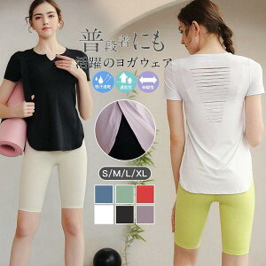 KEFA gbvX ^Ngbv fB[X zbgK  tBbglXEFA 킢  X|[c TVc z Xgb`