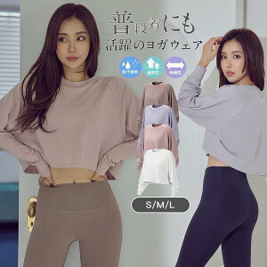 KEFA gbvX ^Ngbv fB[X zbgK  tBbglXEFA 킢  X|[c TVc z Xgb`