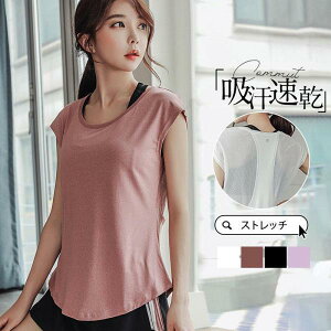 KEFA gbvX ^Ngbv fB[X zbgK  tBbglXEFA 킢  X|[c TVc z Xgb`