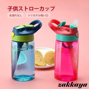 EH[^[ {g  vX`bN Xg[ 480ml BPAt[ 􂢂₷ e PC ^b`{g q ǂ j̎q ̎q IV Jo[t
