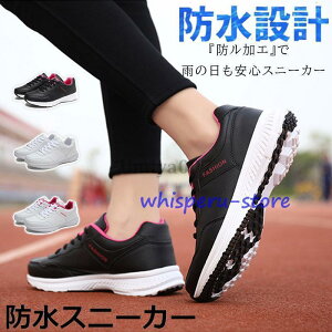 Xj[J[ fB[X h  h V[Y C ₷ Ȃ ɂȂ ʋC Vv ʋ ʊw 