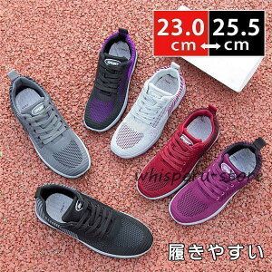 Xj[J[ fB[X EH[LO JWAV[Y WMO bV ʊw ʋ  t H AE^[ ₷ ɂȂ ̓