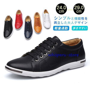 V Xj[J[ Y [Jbg Xj[J[ XP[gV[Y X|[cV[Y YC PUC ʊw ʊw y