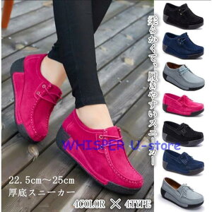 Xj[J[ C Cq[ nCJbg EH[LOV[Y rfB[X JWAV[Y@₷ tH