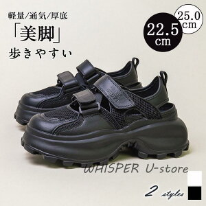 T_ Xj[J[\[ X|[cT_ 5cm 6cm 7cm NbV }WbNe[v y ʋC ₷ bV