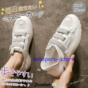 Xj[J[ HV fB[X V[Y tH jOV[Y EH[LOV[Y ؂ ₷ Ȃ r JWA o s 