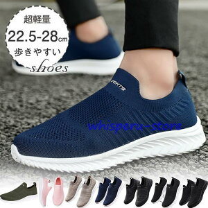 Xj[J[ fB[X Y Xb| V[Y Vv JWA ₷ y ʋΒʊw ɂ X|[c W  Jbv