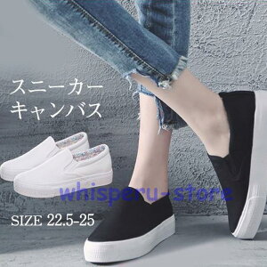 Xj[J[ fB[X LoX [t@[ tbgV[Y JWA Xb| l [Jbg V[Y C ʊw ^C y