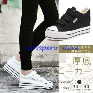 Xj[J[ fB[X LpX Vv }WbNe[v  Cq[ ₷ ʊw ʋ r JWA 傫TCY  