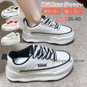  Xj[J[ fB[X X|[cV[Y C V[Y ~ r r ₷ Ȃ