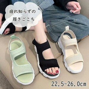 T_ fB[X   X|[c  T_ Ȃ ɂȂ y ₷ X|[cT_ _bhV[Y X|T bNXQ