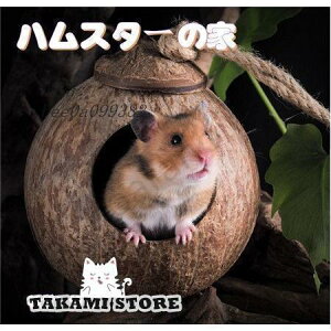 nX^[̉Ƃ̃X̑̃xbĥ͂̂ ₵